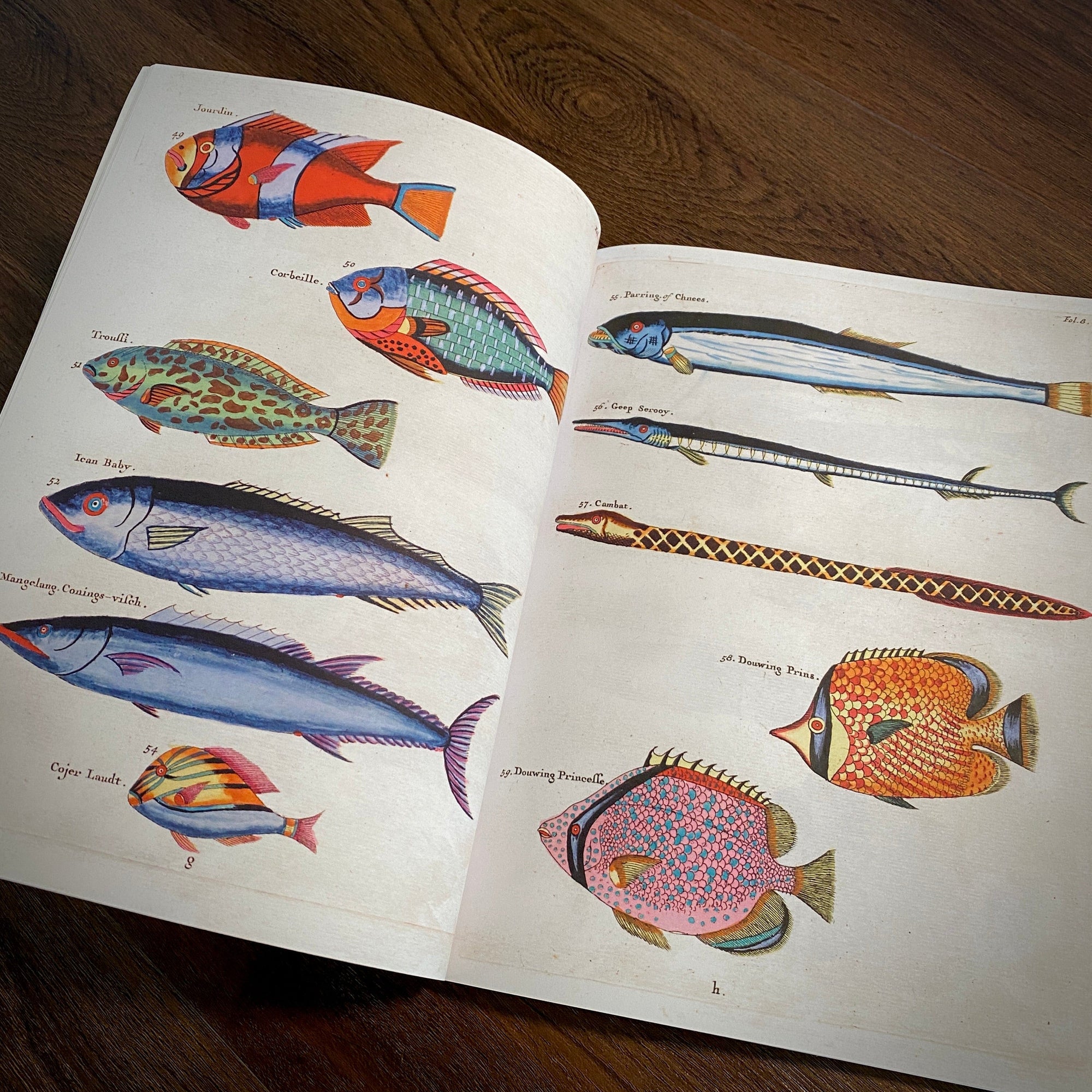 Tattoo Flash Collective Books Poissons