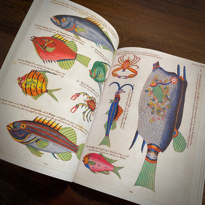 Tattoo Flash Collective Books Poissons
