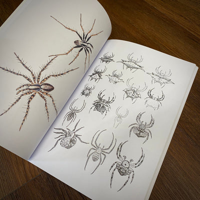 Tattoo Flash Collective Books Spiders and Scorpions