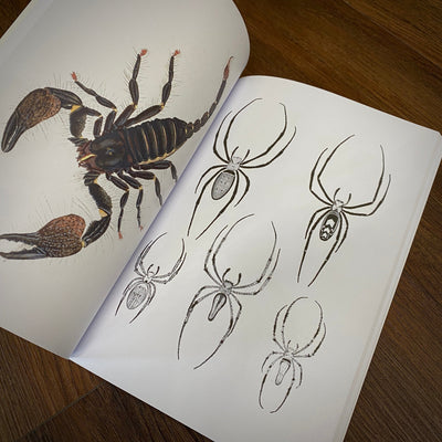 Tattoo Flash Collective Books Spiders and Scorpions