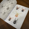 Tattoo Flash Collective Books Spiders and Scorpions