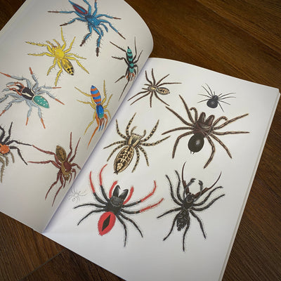 Tattoo Flash Collective Books Spiders and Scorpions