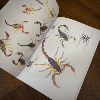 Tattoo Flash Collective Books Spiders and Scorpions