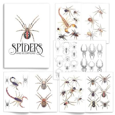 Tattoo Flash Collective Books Spiders and Scorpions