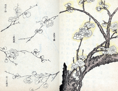 Cherry Blossoms -DIGITAL - tattooflashcollective